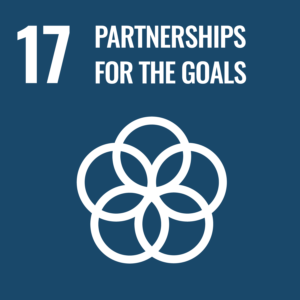 partnerships to achieve the goals